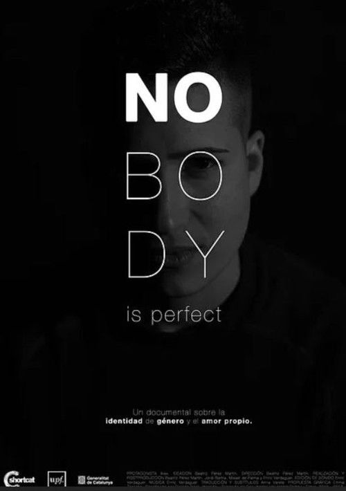 Nobody Is Perfect (2018) poster