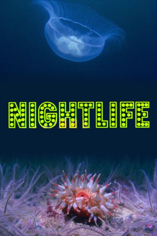 Nightlife (1976) poster