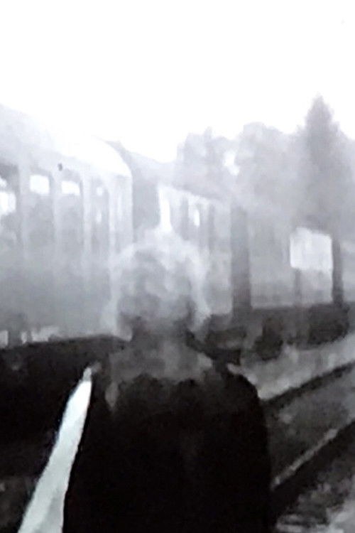 Die Ankunft Eines Zuges (2011) poster