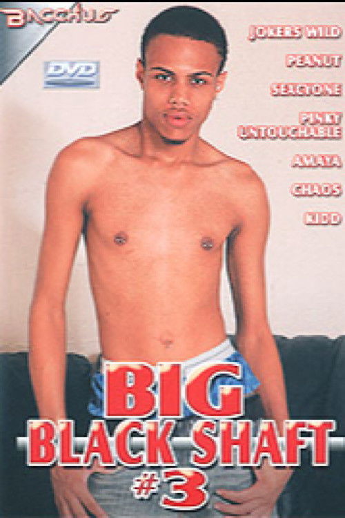 Big Black Shaft 3 (2005) poster