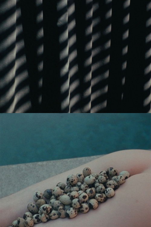 In Its Form Asleep (2016) poster