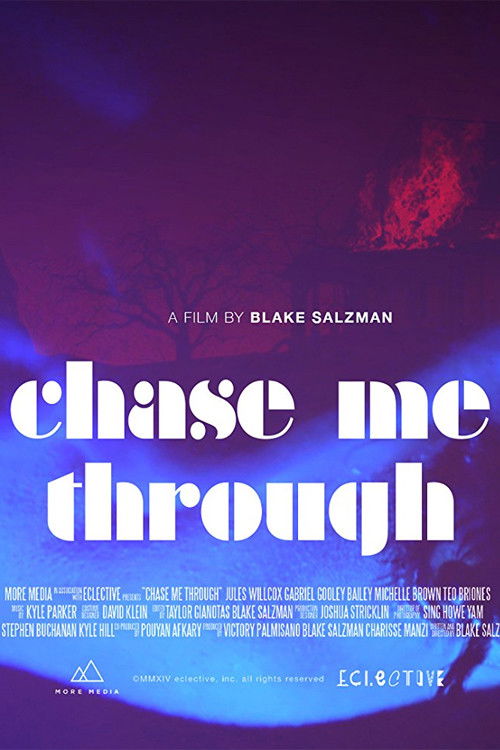 Chase Me Through (2014) poster