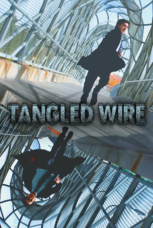Tangled Wire (2014) poster