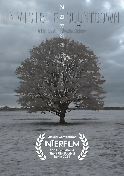 Invisible Countdown (2024) poster