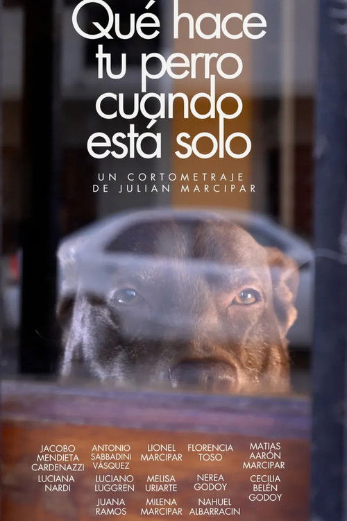 Qué hace tu perro cuando está solo (2025) poster