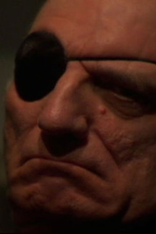 Murdoch's Other Eye (2008) poster