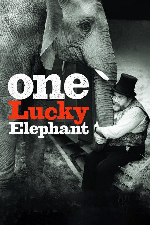One Lucky Elephant (2010) poster