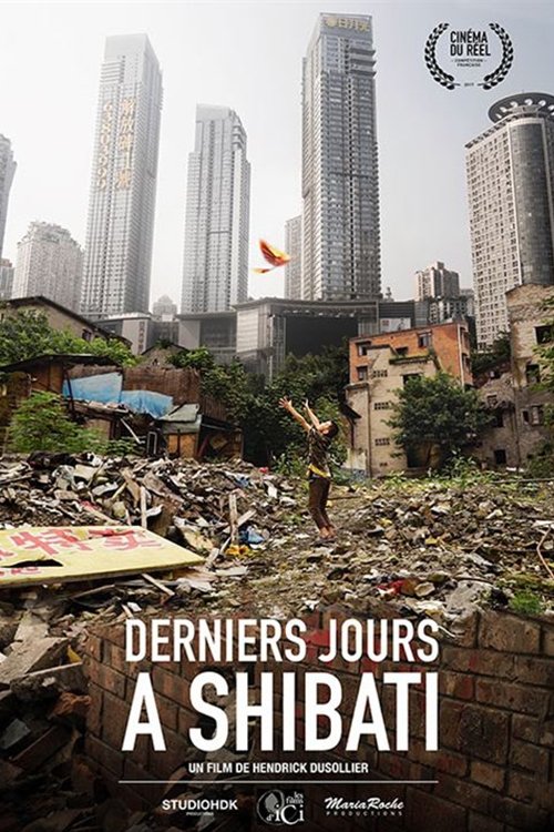 Last Days in Shibati (2018) poster