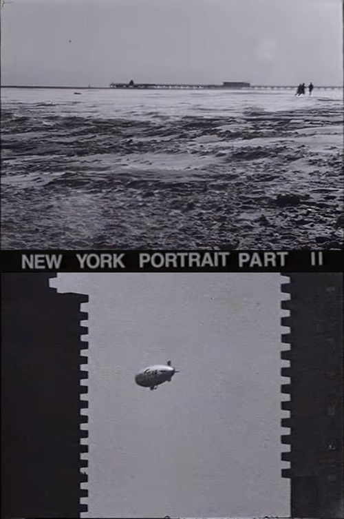 New York Portrait, Chapter II (1981) poster