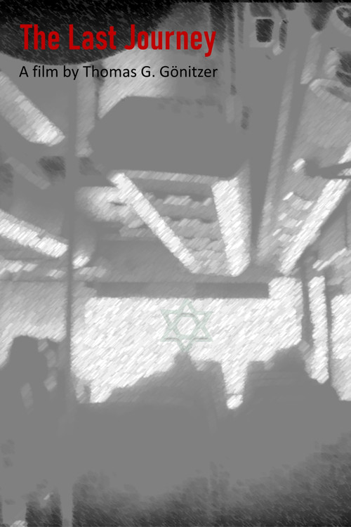 The Last Journey (2018) poster