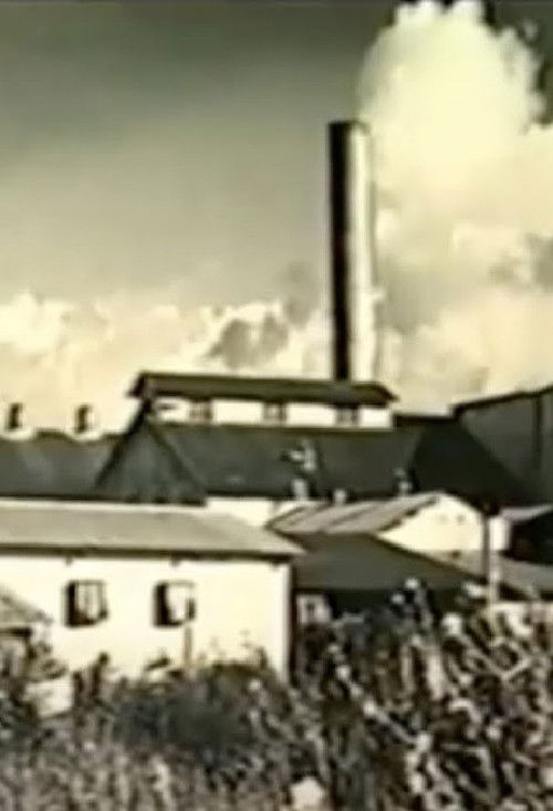 Kahuku: Survival of a Plantation Town (1988) poster