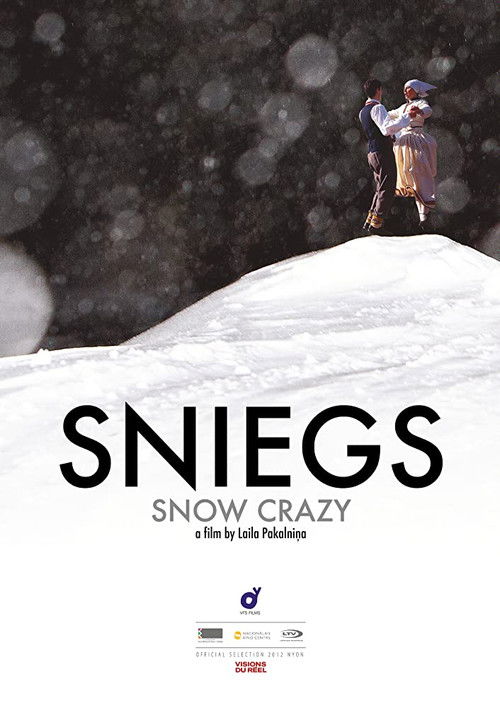 Snow Crazy (2012) poster