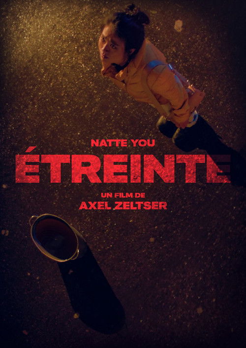 Embrace (2024) poster