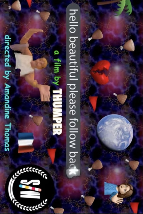 hello beautiful please follow back (2025) poster