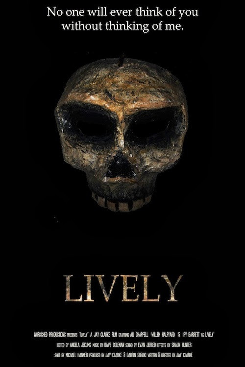Lively (2013) poster