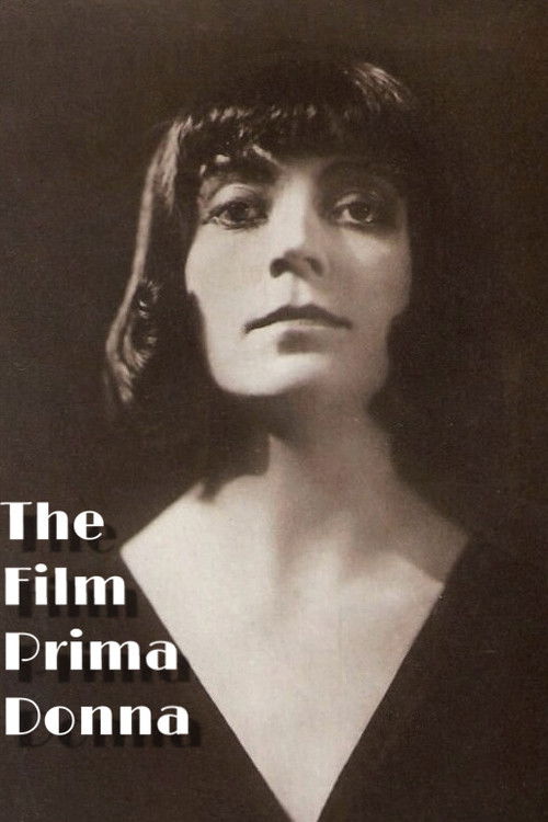 Die Filmprimadonna (1913) poster