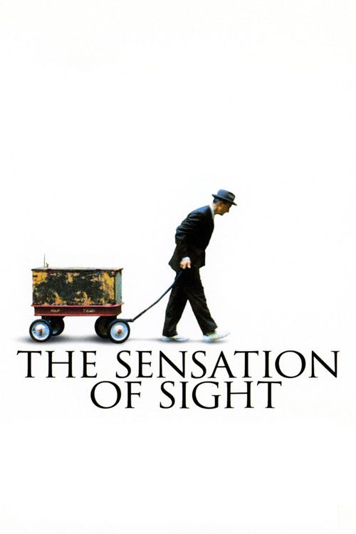 The Sensation of Sight (2006) poster