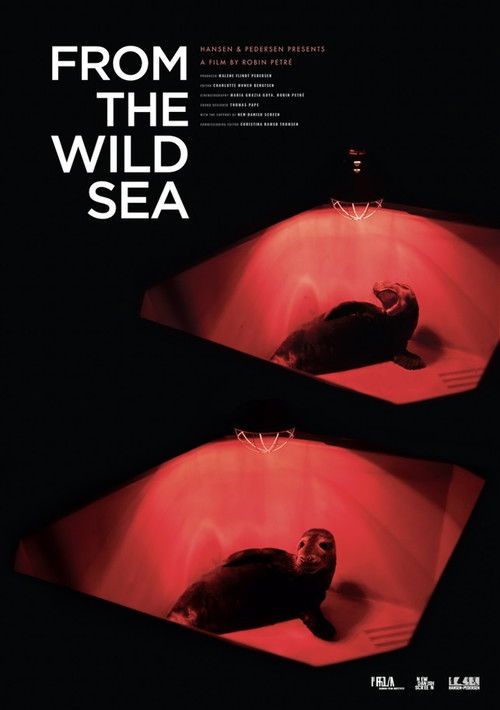 From the Wild Sea (2021) poster
