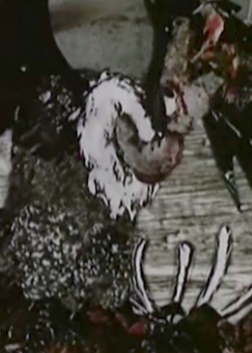 Czas sępa (1987) poster