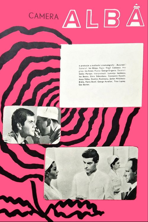 Camera alba (1965) poster