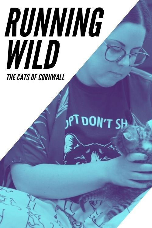 Running Wild: The Cats of Cornwall (2020) poster