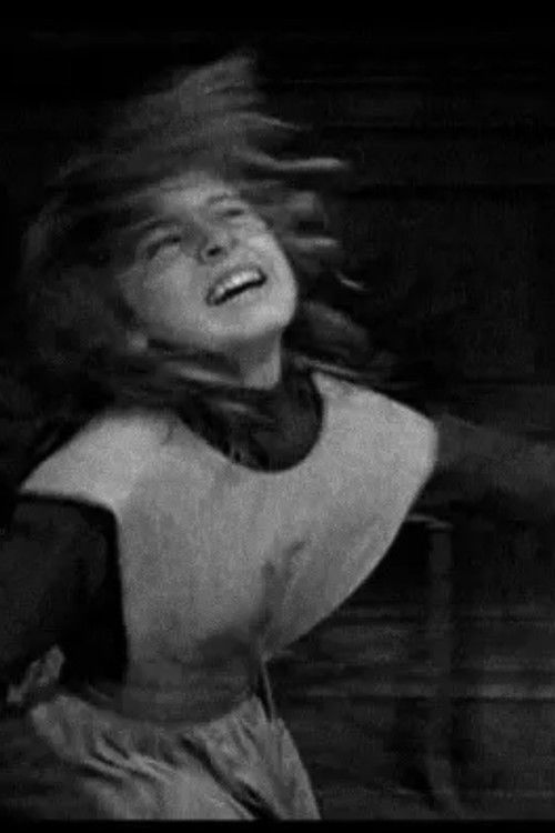 Madness in Four Actions (2008) poster