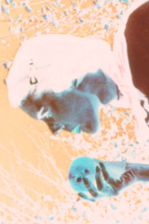 Kodachrome Love Poem (1995) poster