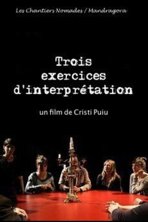 Trois exercices d'interprétation (2013) poster