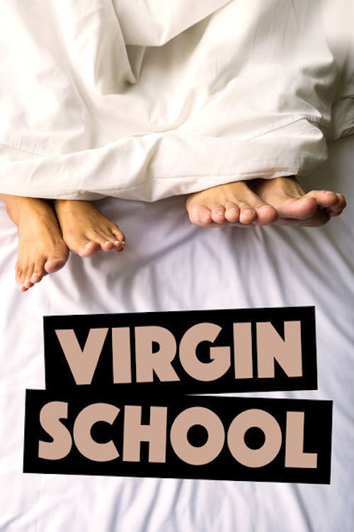 Virgin School (2007) poster