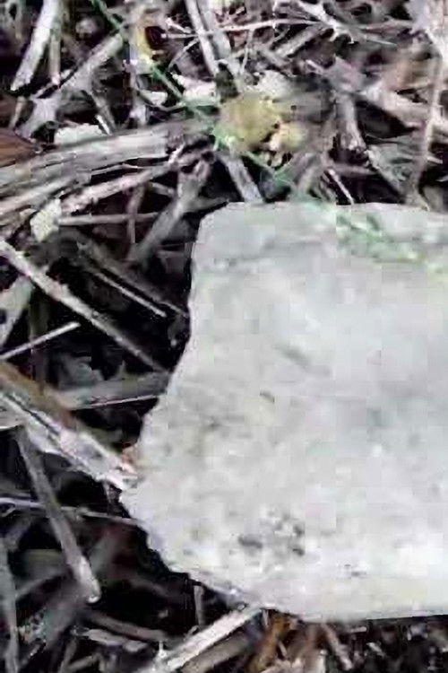 -Pursuit2.: A nessuno importa se viviamo/moriamo (2012) poster