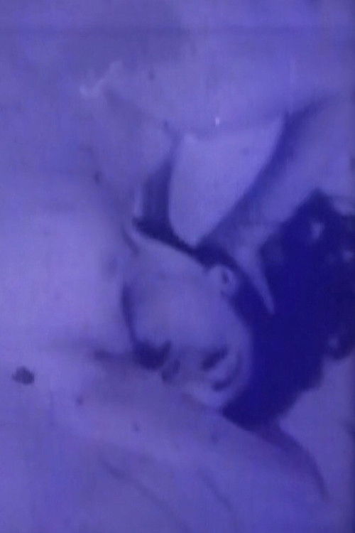 Blue Movie (1993) poster