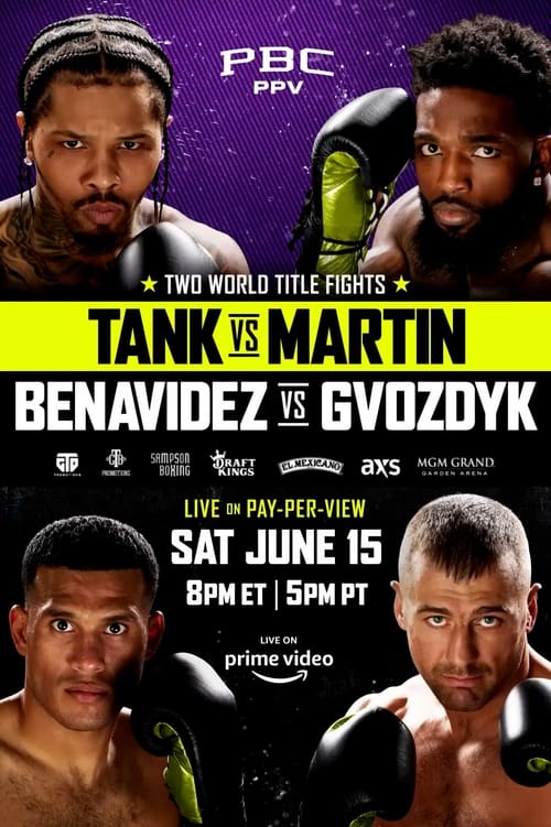 Gervonta Davis vs. Frank Martin (2024) poster