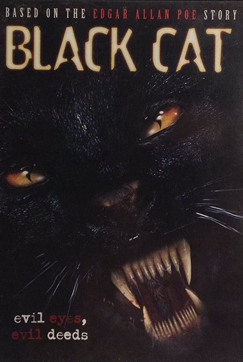 Black Cat (2004) poster