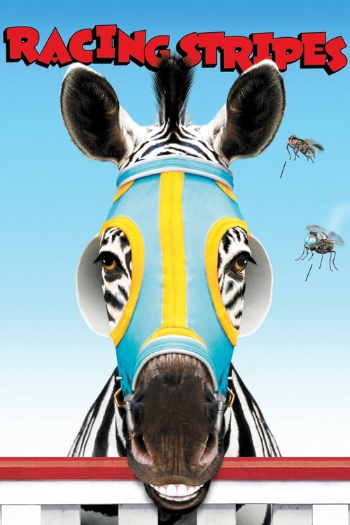 Yarışçı Zebra (2005) poster