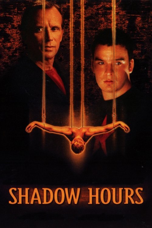 Shadow Hours (2000) poster