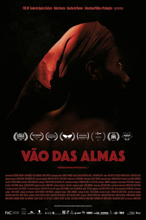 Vão das Almas (2023) poster
