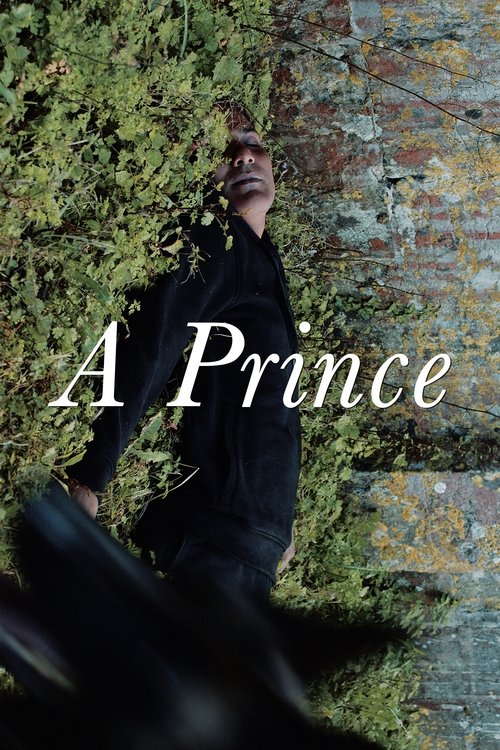 A Prince (2023) poster