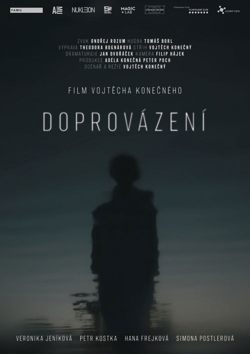 Doprovázení (2024) poster