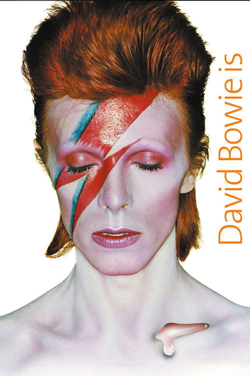 David Bowie Is Happening Now (2013) poster