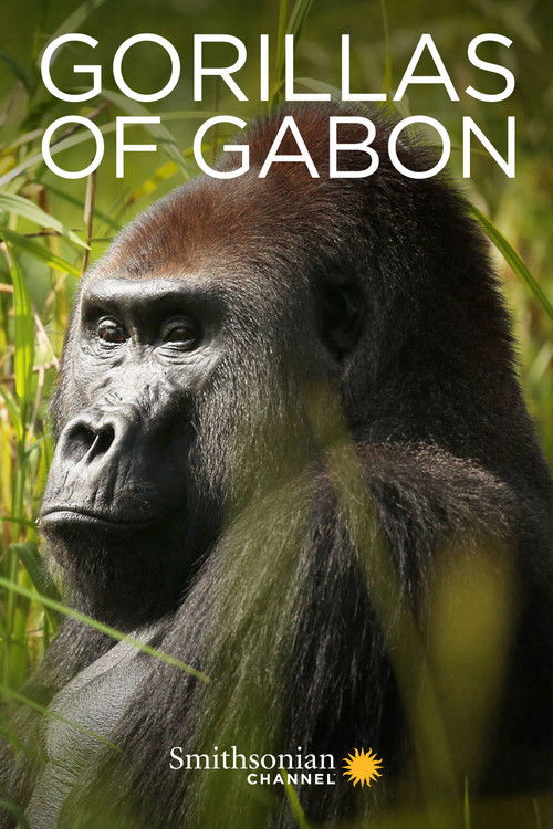Gorillas of Gabon (2019) poster