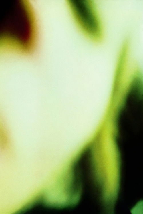 The Smashing Pumpkins: Basement Jam (Pulse Cable Access Show, November 19, 1988) (2012) poster