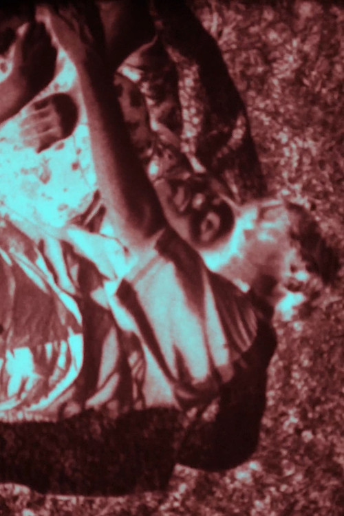 Ferðalok (2019) poster