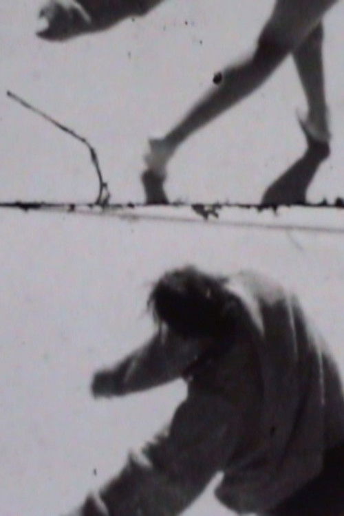 Garden (2017) poster