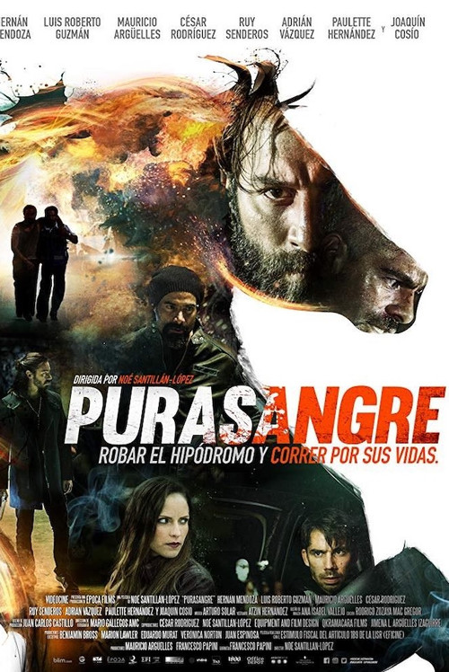 Purasangre (2016) poster