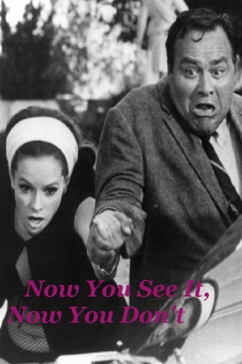 Now You See It, Now You Don't (1968) poster