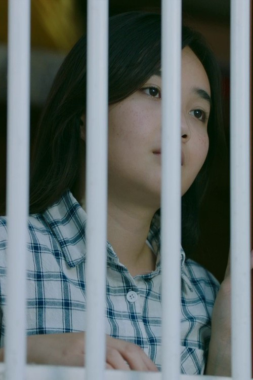 Good Morning Vietnam (2016) poster