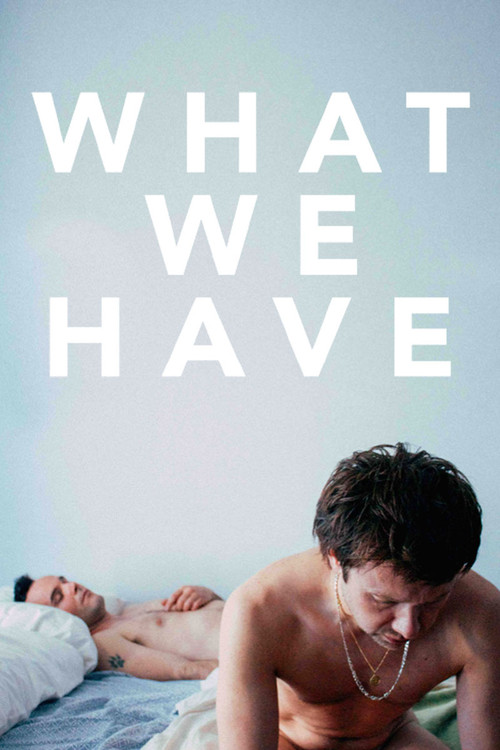 What We Have (2014) poster