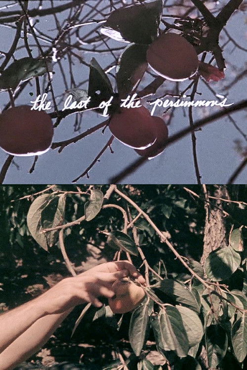 The Last of the Persimmons (1972) poster