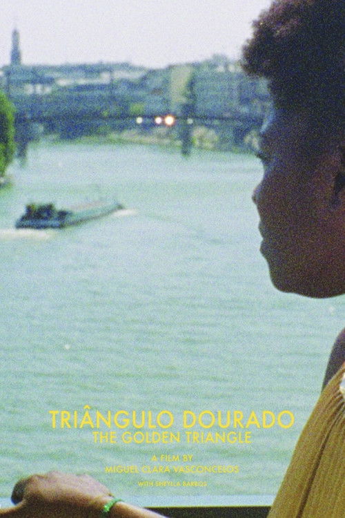 The Golden Triangle (2014) poster