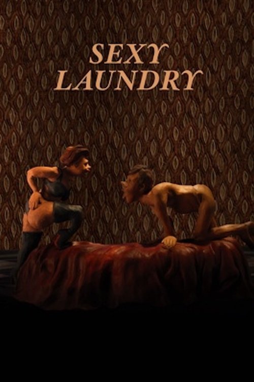 Sexy Laundry (2015) poster